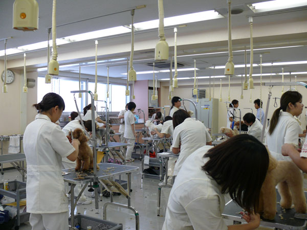 2010-09-06 13.59.15.jpg