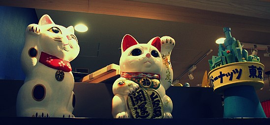 IMG_8890.jpg