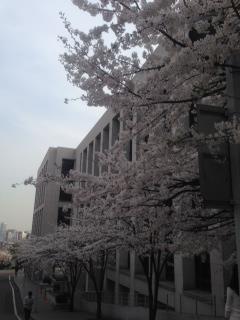 다이토문화대학  (3).JPG