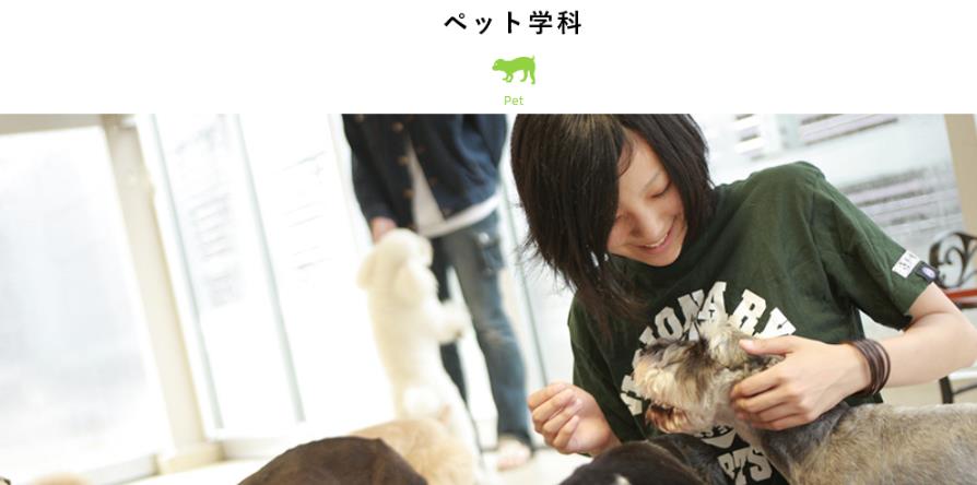 일본동물학교_비져너리아츠 전문학교  (7).JPG