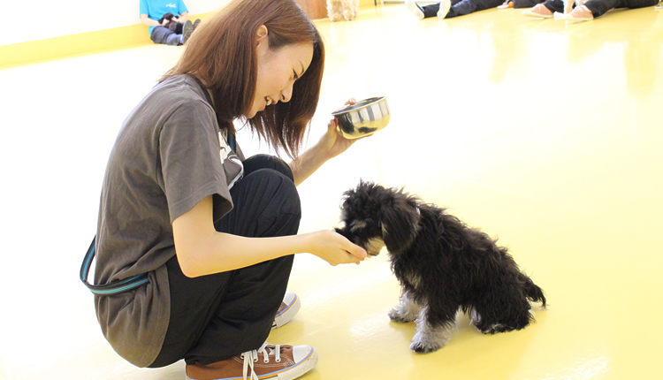 비져너리아츠 강아지 담당  (2).jpg