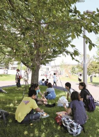 타마미술대학교   (2).JPG