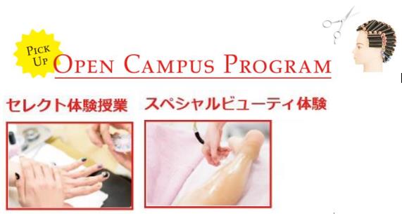 헐리우드뷰티전문학교  (1).JPG