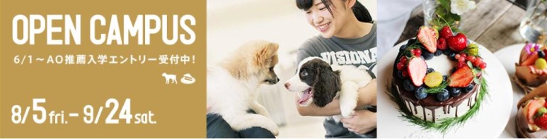 비져너리아츠전문학교 제과제빵  (5).jpg