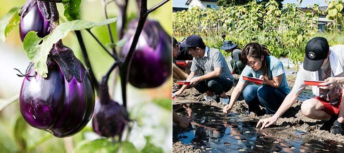 도쿄스시와쇼쿠 조리전문학교 (13).jpg