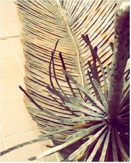 2015-03-25 17;04;56.JPG