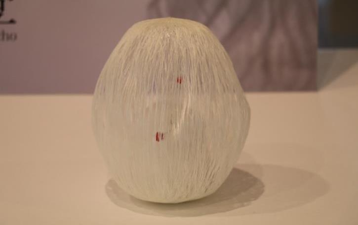 2017-02-06 15;19;38.JPG