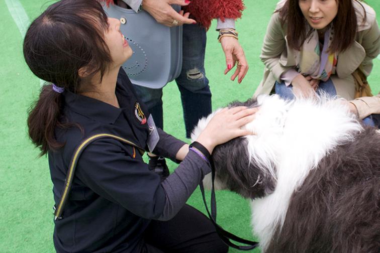 일본동물학교_비져너리아츠 전문학교  (7).JPG