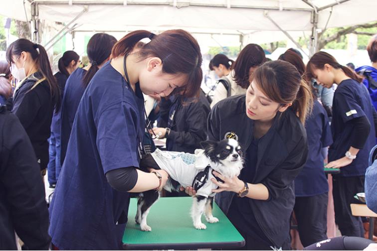 일본동물학교_비져너리아츠 전문학교  (3).JPG