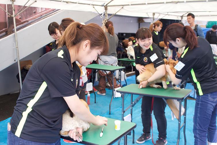일본동물학교_비져너리아츠 전문학교  (4).JPG