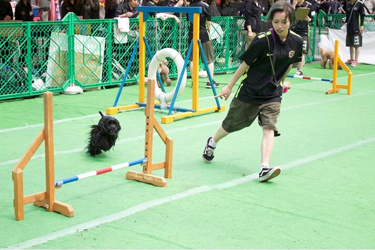 일본동물학교_비져너리아츠 전문학교  (6).JPG