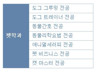 비져너리아츠 펫학과 연수여행  (6).JPG