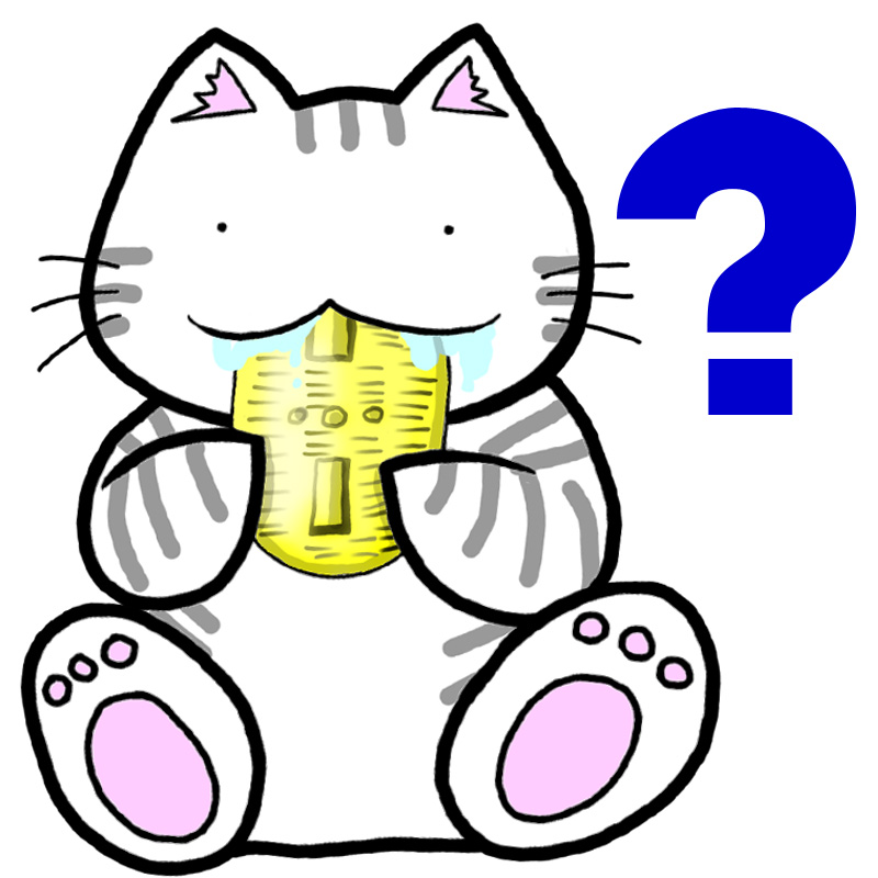 猫に小判.jpg