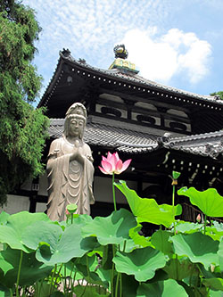 寺.jpg