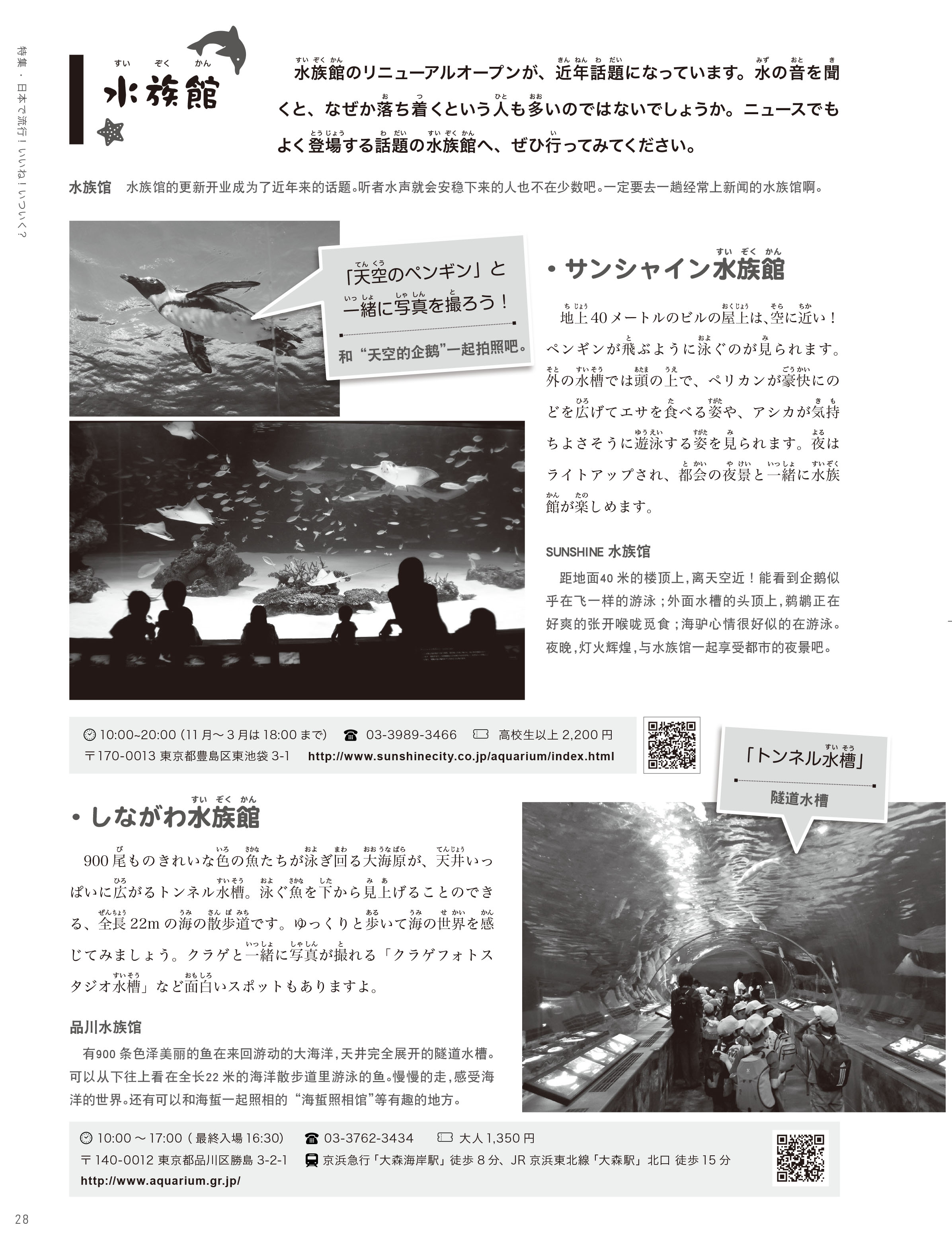 201805流行特集-23.jpg
