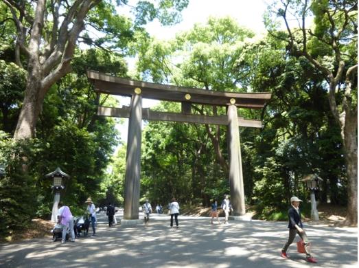 도쿄디자인전문학교 입학식  (2).JPG