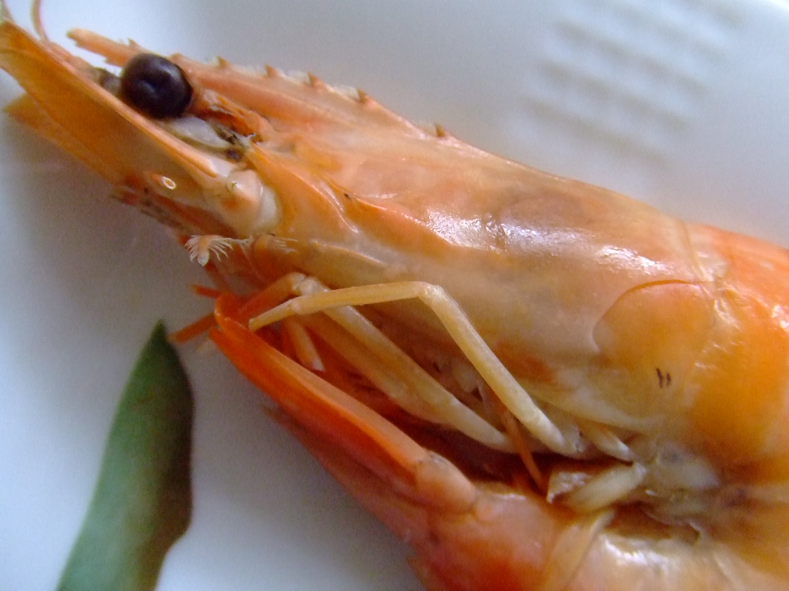 新年快乐！大家正月是怎么度过的呢？ > 留学升学信息| オンライン進学資料館