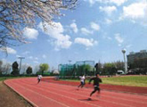 image_951265.jpg