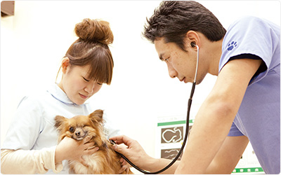 lead_section_img (2).jpg