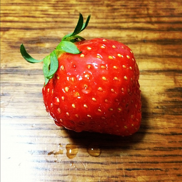いちご①.jpg
