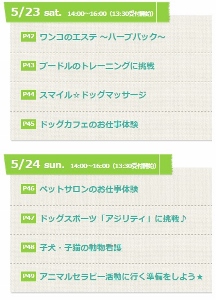 ビジョナリー09 (216x300).jpg