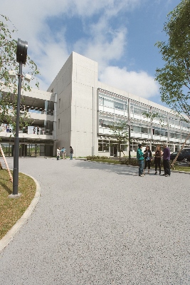 たま01 (267x400).jpg