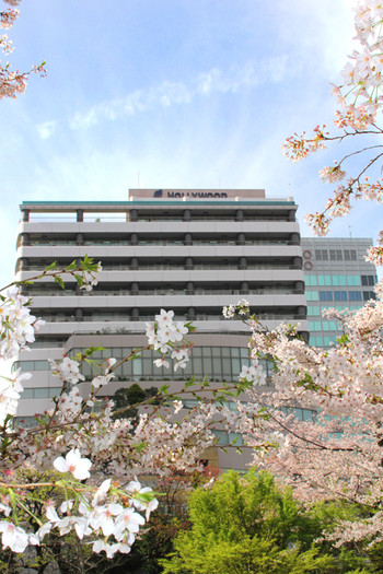 01.jpg