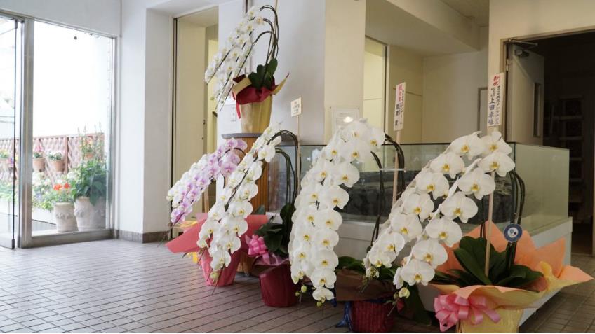 東洋美術 (3).jpg