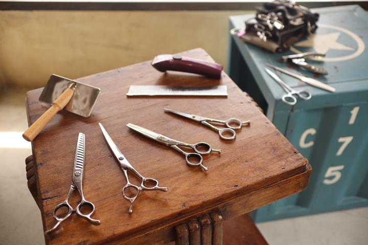 image012.jpg