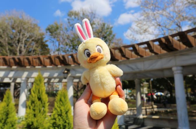 일본 디즈니랜드 신캐릭터 우사삐요 (10).JPG