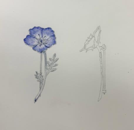 image004.jpg