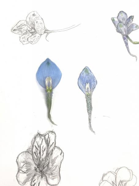 image009.jpg
