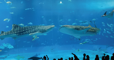 image007.png