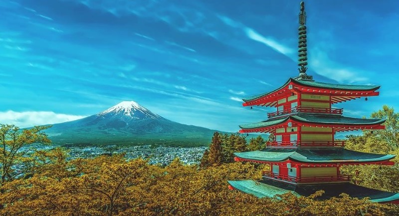 일본유학박람회2019_일본대학 주오대학 참가 (1).JPG