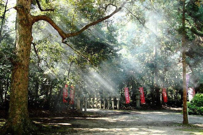 70년전통 일본 고민가 호텔_니뽀니아(NIPPONIA) (7).JPG