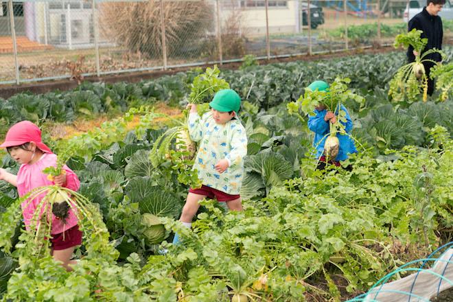 70년전통 일본 고민가 호텔_니뽀니아(NIPPONIA) (9).JPG