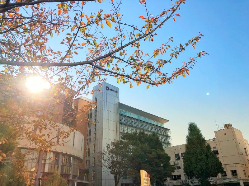 오비린대학 국제교류 서포트 5.JPEG