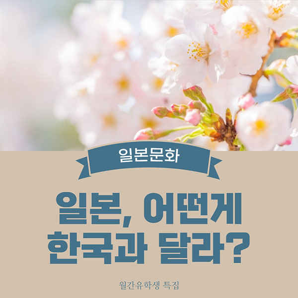 한국 일본 다른점 1.jpg