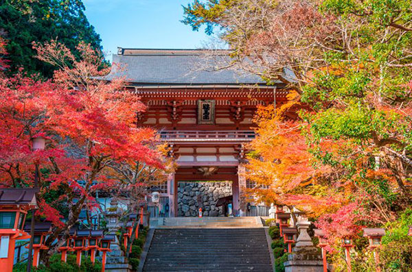 호랑이해에 가면 좋은 일본신사 쿠라마데라(鞍馬寺).jpg