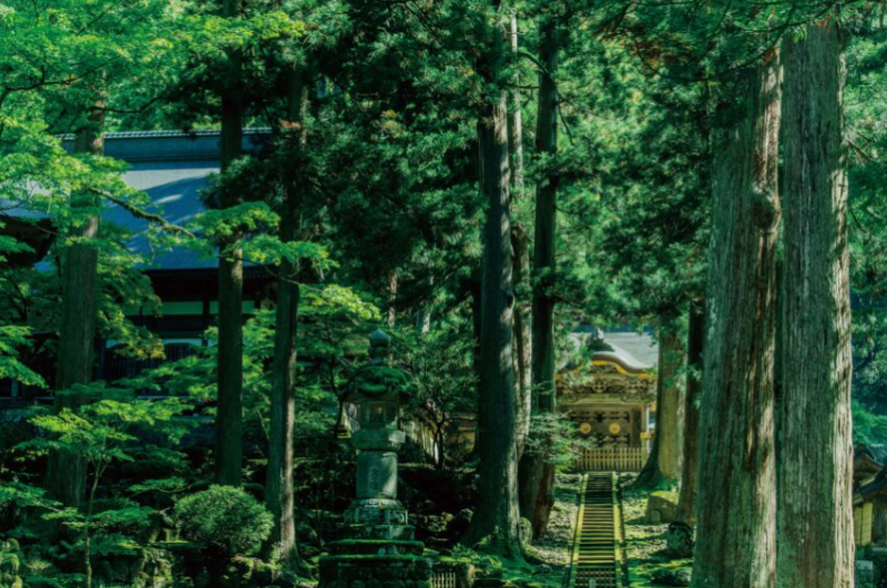 截屏2022-02-14 16.20.17.png