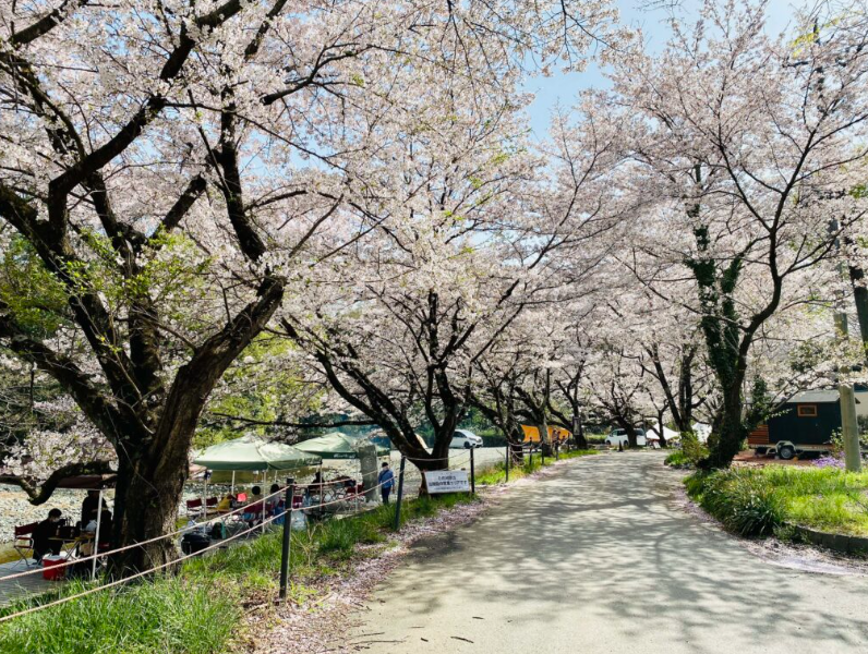 截屏2022-03-15 23.35.15.png