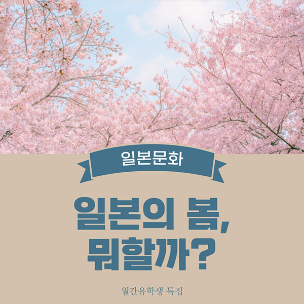일본생활 봄 즐기기 1.jpg