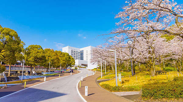 일본 주오대학 경제학부 국제교류축제 개최 1.jpg