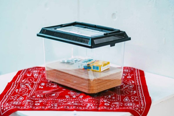 타마미술대학 학생 야마나시 미디어예술어워드에서 선출 1.jpg