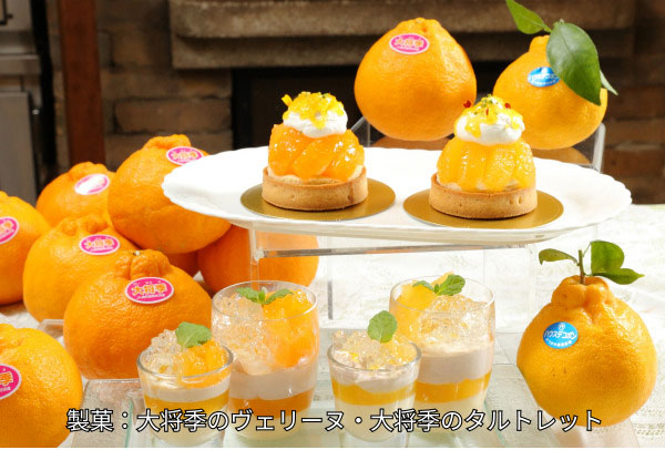 핫토리영양전문학교 가고시마 식 이벤트 10.jpg