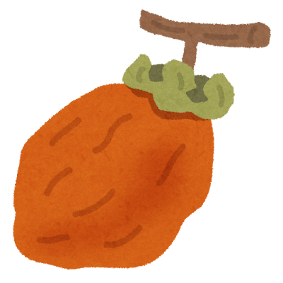 fruit_hoshigaki.png