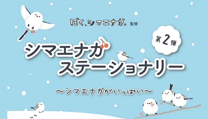 Screenshot 2025-02-16 at 3.07.39 PM.png