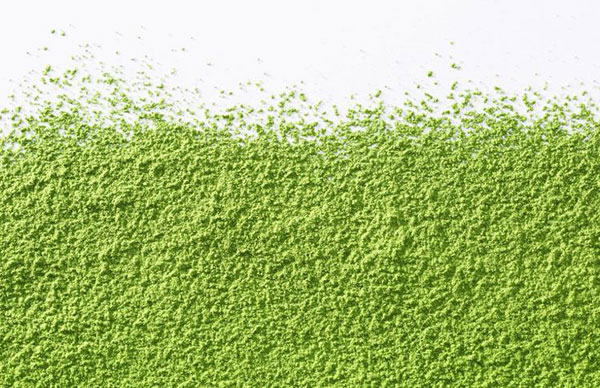 일본 말차 디저트 이렇게까지 깊다고요 7.jpg