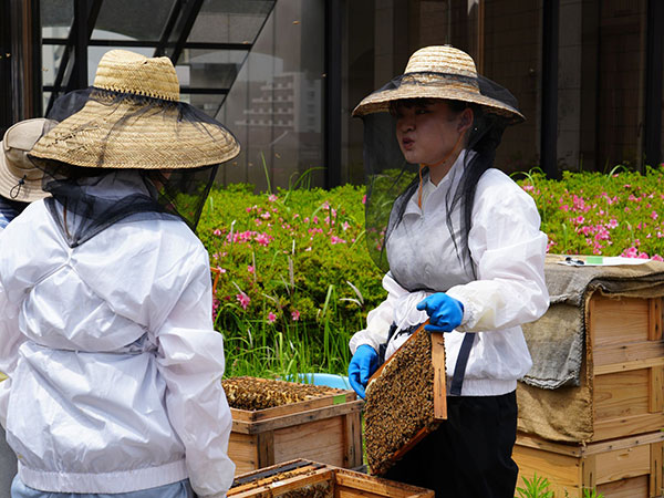 메이카이대학 실천형 수업 3.jpg