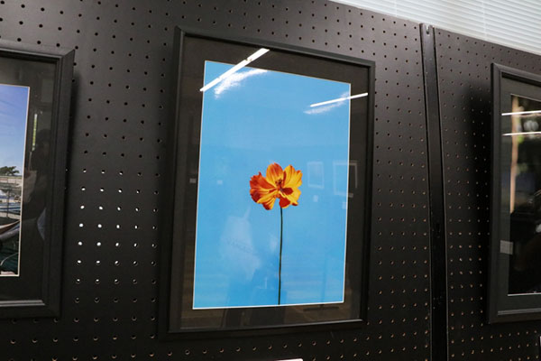 일본 다이토분카대학 축제 2026 10.jpg